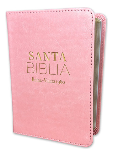 Biblia De Bolsillo Reina Valera 1960 Concordancia Imit. Piel