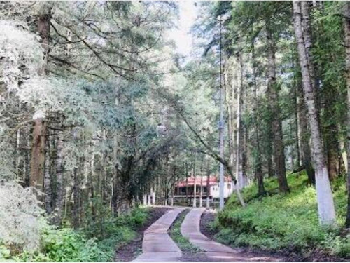 Imagen 3 de 10 de Terreno En Venta Deja El Estrès, Invierte En Hermoso Fracc Con Amenidades, Lotes A Crèdito
