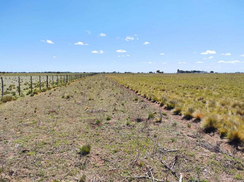 Imagen 10 de 19 de Campo De 95 Has En Ataliva Roca -la Pampa
