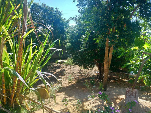 1.000 M², Casa Com 02 Dormitórios, Churrasqueira E Piscina!!