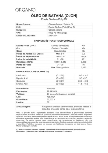 Kit Terapia Capilar ORGANO Premium - Ojon, Castor Oil, Alecrim - 100ml Cada Frasco