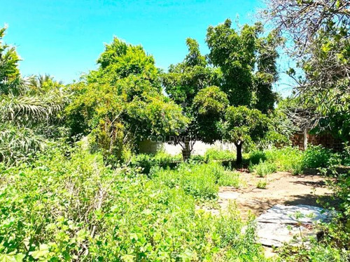 Terreno En Zona Céntrica De San Vicente