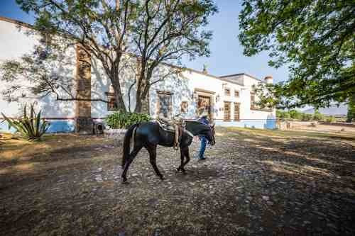 Imagen 1 de 15 de Hacienda Xajay En Venta, Estado De Hidalgo