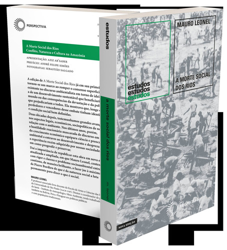 A morte social dos rios, de Leonel, Mauro. Estudos Editorial Editora Perspectiva Ltda., capa mole em português, 2020