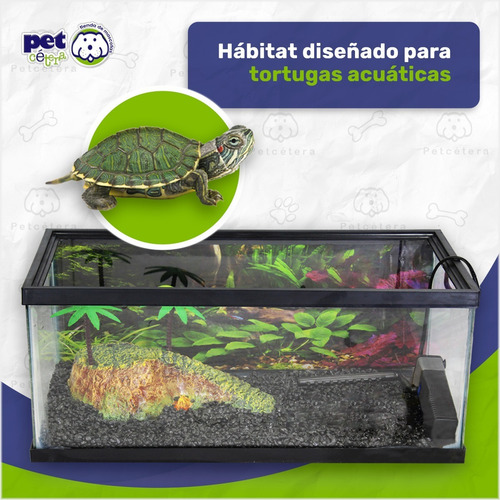 Imagen 5 de 9 de Kit Tortuguero Equipado | Pecera Rectangular | Tortugas