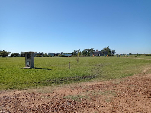 Imagen 3 de 13 de Terreno - Gualeguaychu