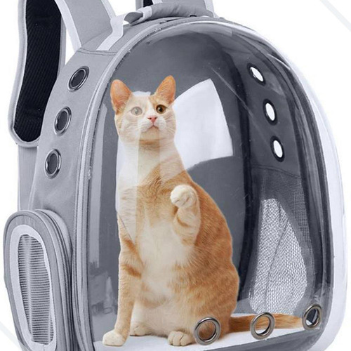 Mochila Bolsa Transporte Pet Gaiola Para Gato Cachorro Caixa