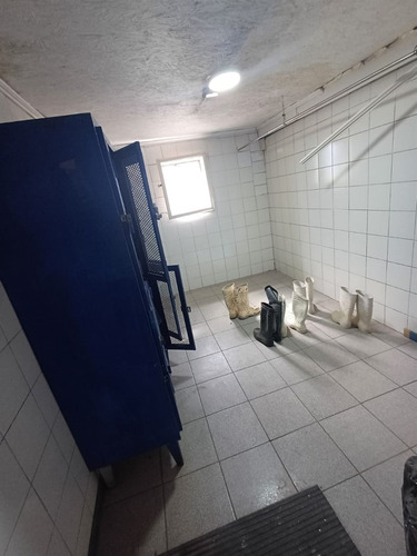 Local Comercial En Arriendo En Calbuco
