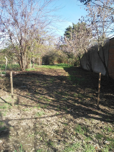 Terreno En Olmos Con Escritura Y Todos Los Servicios 10x60. 