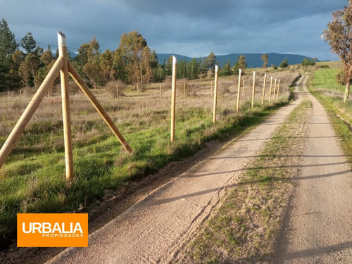 Terreno De 1,5 Hectáreas En Ninhue, Ñuble