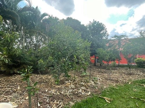 Imagem 21 de 22 de Belíssima Chácara Formada