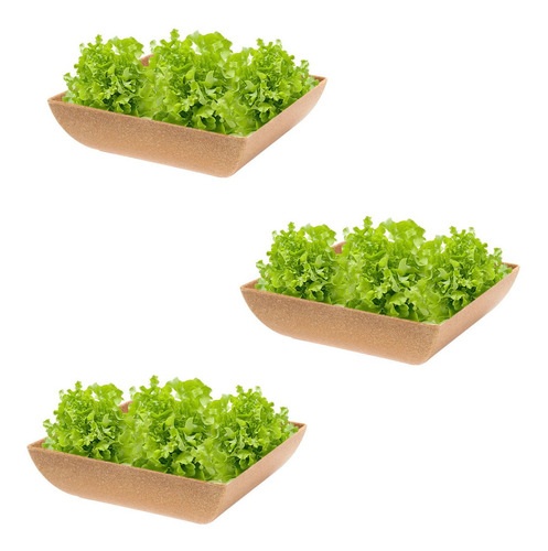 3un Saladeira Quadrada 1,4 Lt Travessa Petisqueira Marrom Cl