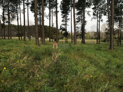 Venta- Terreno Chacras Del Pinar Maldonado Sla5907840