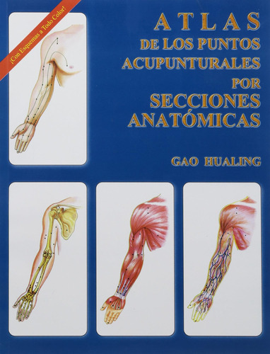 Libro: Atlas De Los Puntos Acupunturales Por Secciones Anato