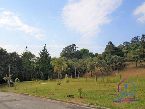 Imagem 4 de 12 de Terreno À Venda, 3306 M² Por R$ 1.820.000,00 - Jardim Mediterrâneo - Cotia/sp - Te0260