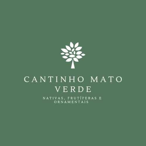 Imagem 8 de 8 de Muda De Limão Cravo Enxertada 60cm Produz Em 1ano