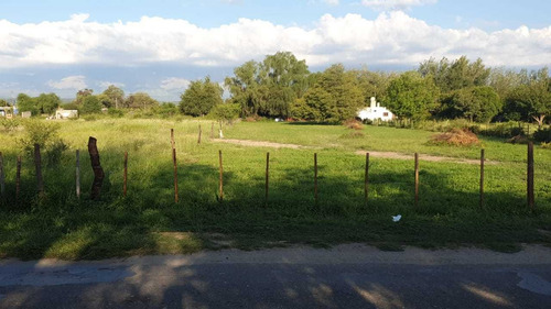 Imagen 7 de 10 de Terreno 1450 Mts2 Asfalto, R J Noble 620, Todos L Servicios, Podria Financiar Saldo De Compra O Podria Aceptar Vehiculo Que Me Sirva