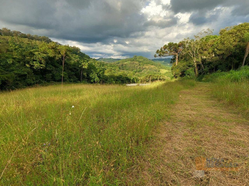 Imagem 4 de 6 de Chácara À Venda, 20000 M² Por R$ 235.000,00 - Desvio Rizzo - Caxias Do Sul/rs - Ch0006