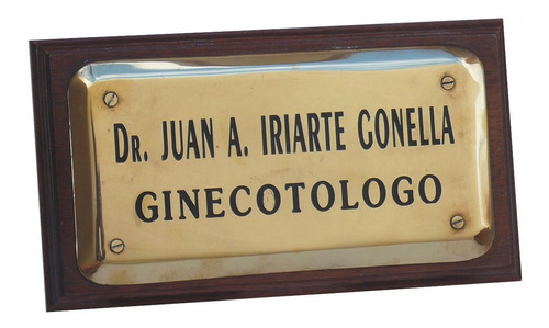 Chapa O Placa Para Profesional Universitario De Bronce Bombé