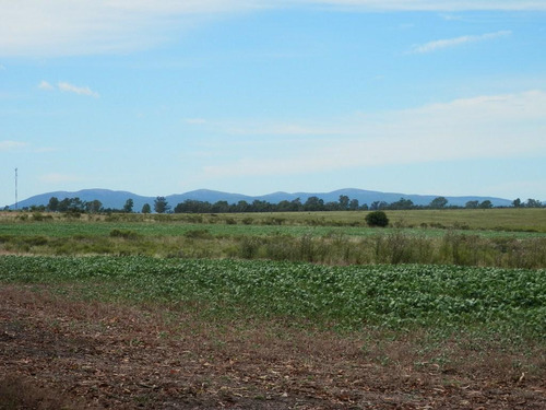 Solis De Mataojo 183ha Agr-gan Sobre Ruta 8