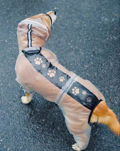 Capa De Chuva Para Cachorro, Capa De Chuva Jorongo Com