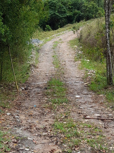Imagem 3 de 20 de B46- Opa Chácara Boa A Venda 1000m² Venha Conhecer!!