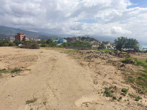 Imagen 5 de 7 de Terreno En Alquiler O Venta. 15 000mrs. Todo Los Servicios.