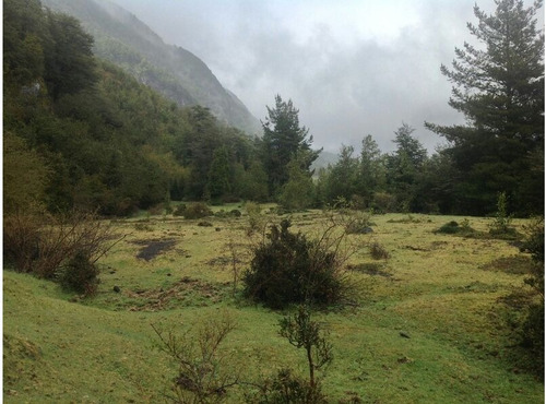 Imagen 3 de 5 de Parcela En Verde A 15 Min Pucon, Camino Internacional.