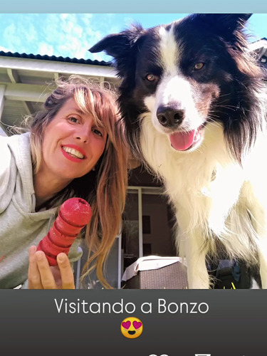 Catsitter, Cuidado De Animales A Domicilio,con Referencias