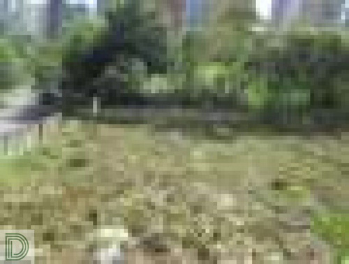 Imagem 5 de 7 de Terreno Comercial Para Venda No Bairro Vila Suzana Em São Paulo - Cod: Di8983 - Di8983