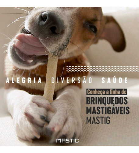 Kit 4 Pct Palito Ossinho Cães Sabor Natural Mastig C/ 10 Un