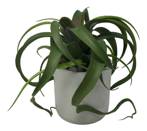 Planta Tillandsia Artificial Con Maceta Decorativa Concreto