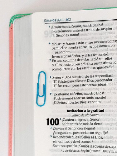 Imagen 6 de 8 de Biblia De Estudio Eco Cuero Rosa Reina Valera Contemporánea