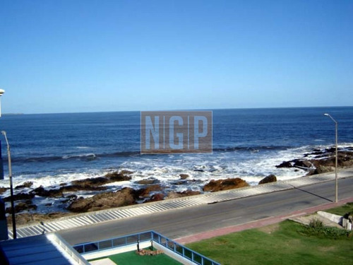 Apartamento En Peninsula, 2 Dormitorios -ref:1798