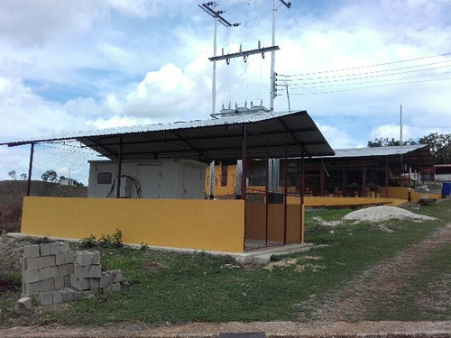 Granja Avicola Ganadera Minera Tinaquillo, Negociable
