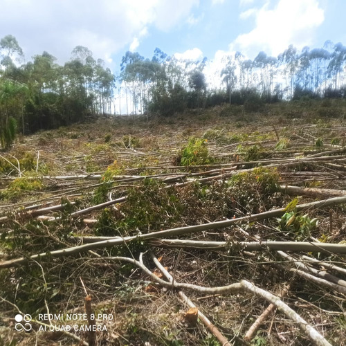 Imagem 11 de 14 de I20- Venha Realizar Seu Lote Em Ibiuna Prox Ao Asfalto