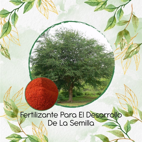 Fertilizante Para El Desarrollo De Árbol Payande