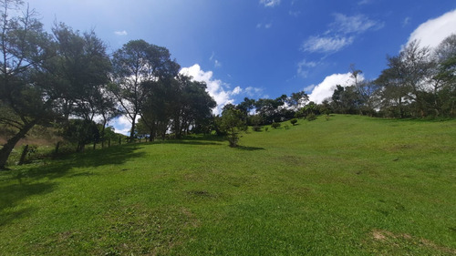 Venta Lote San Antonio De Pereira - Rionegro - Vereda Ojo De Agua.