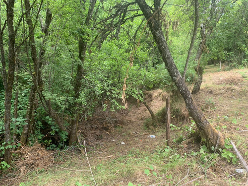 Parcela De 7.500 Mt2 En Sector Puninque