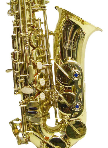 Sky E Flat Lacquer Saxofon Alto Con F Key Case Y 10 Reeds Go