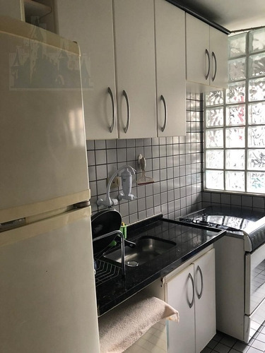 Imagem 12 de 12 de Apartamento Para Venda, 2 Dormitórios, Jardim Celeste - São Paulo - 12288