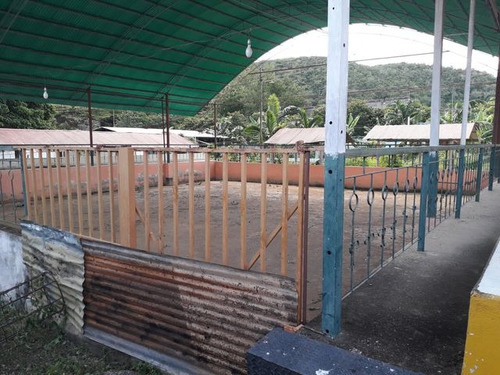 Raiza Suarez Vende Granja Turística En La Ensenada, A Solo Minutos De Barquisimeto Y Yaritagua, Licencia De Licores, Piscina, Cancha De Bolas, Salón De Fiestas, Dos Restaurantes, Caney 2 3 3 3 2 4 8