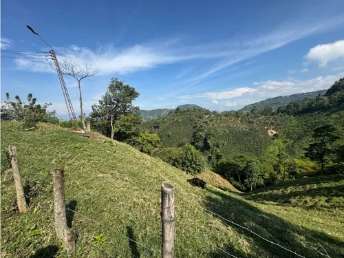 Lote En Venta En Vereda La Aurora Manizales | Venta Terreno