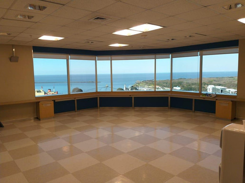 Imagen 1 de 21 de Oficina 1310 M2 Con 18 Cocheras - Torre Laminar Plaza - Catalinas