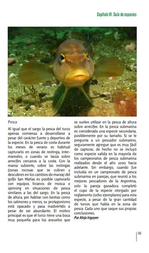 Irigoyen Peces Y Pesca Deportiva Argentina - Mar Y Patagonia