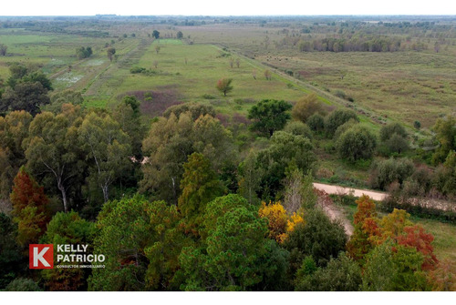 Venta De Fracción Con Costa Sobre Rio Paranacito