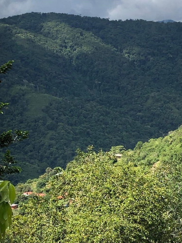 Venta De Lote De Terreno En Sabaneta Del Hatillo, Mcpio El Hatillo, Caracas. Mr