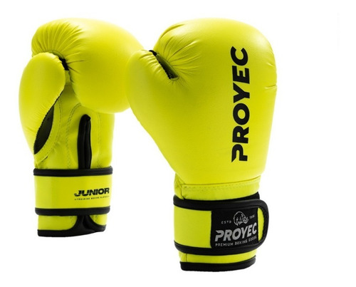 Guantes De Boxeo Niño Proyec Box Kick Boxing Full Thai Mma