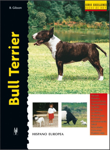Bull Terrier - Serie Excellence, Gibson, Hispano Europea