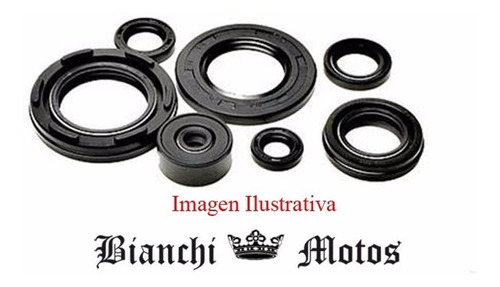 Retenes Motor Suzuki Gs 500 E Gs500 6 Pzas Bianchi Motos